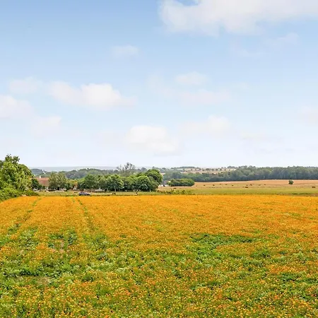 Beautiful In With Kitchen Svaneke