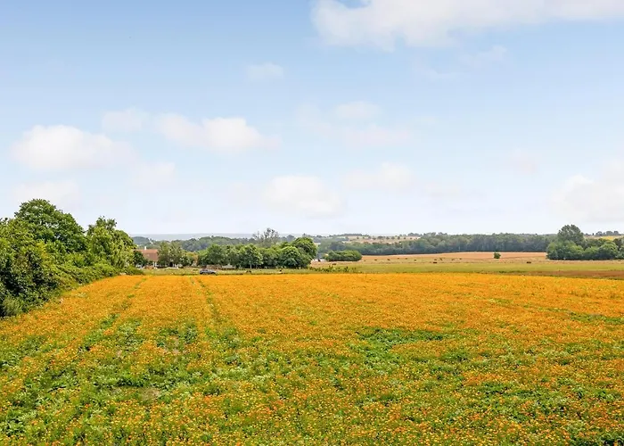 Beautiful In With Kitchen Svaneke